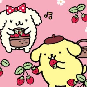 Meet your Posher, Ashlee